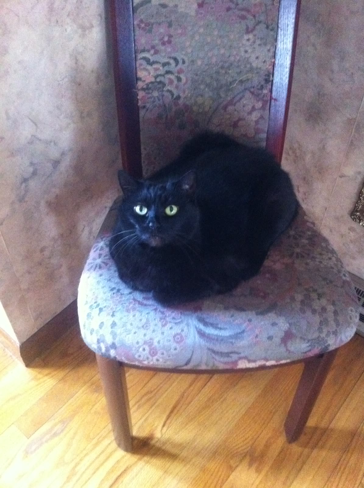 Her favorite chair